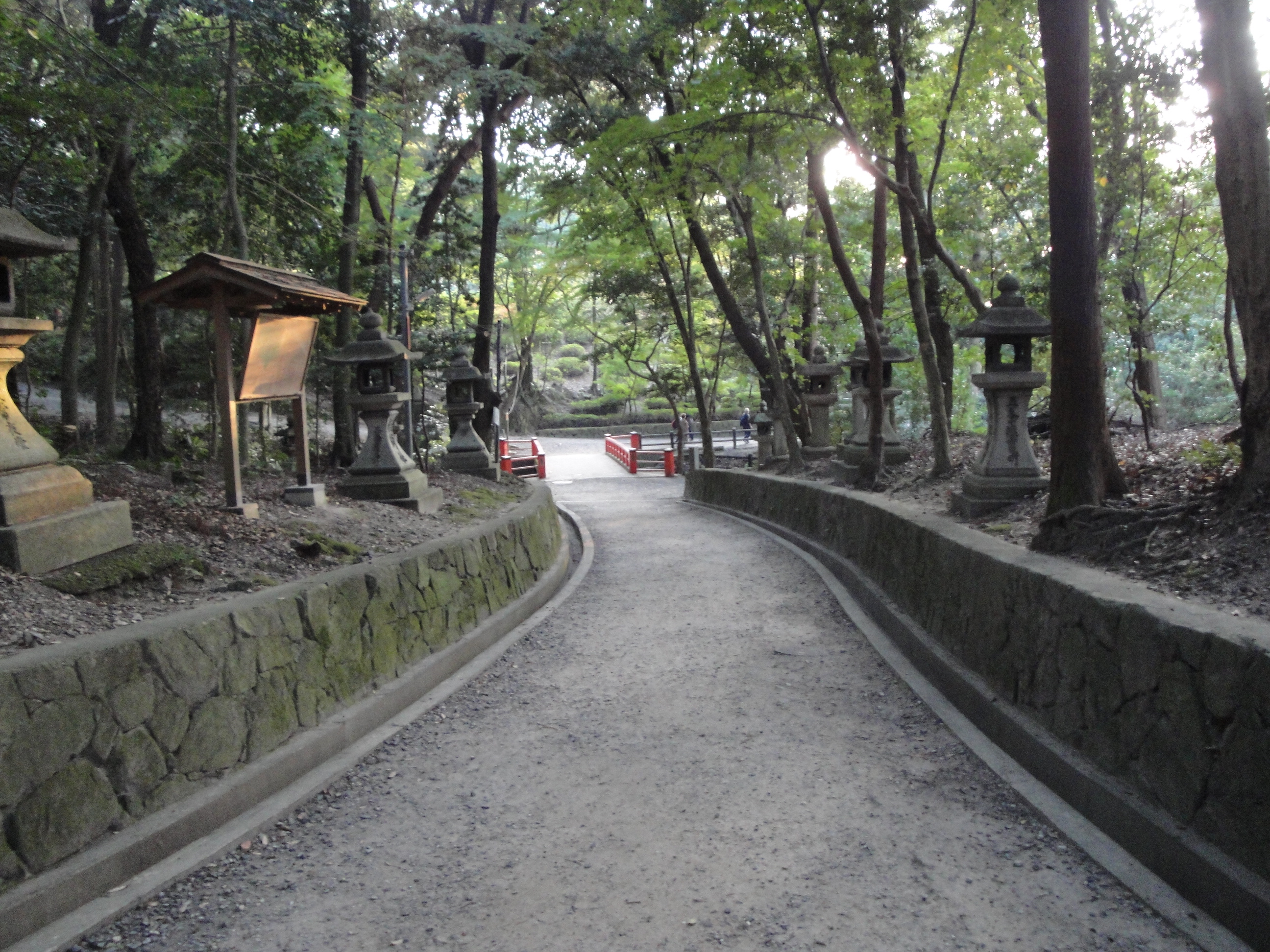DSC00987