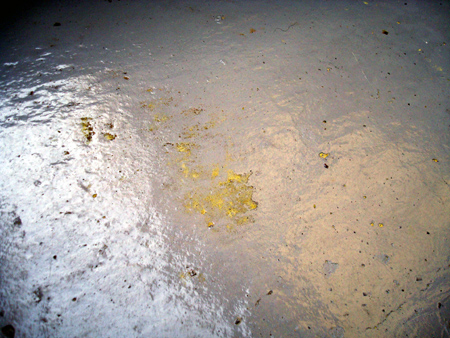 pollen